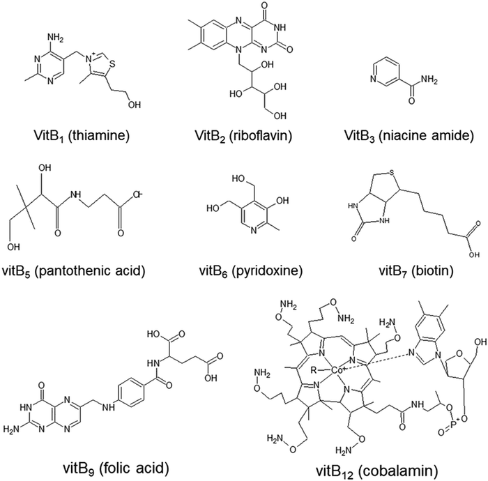 b vitamins structures